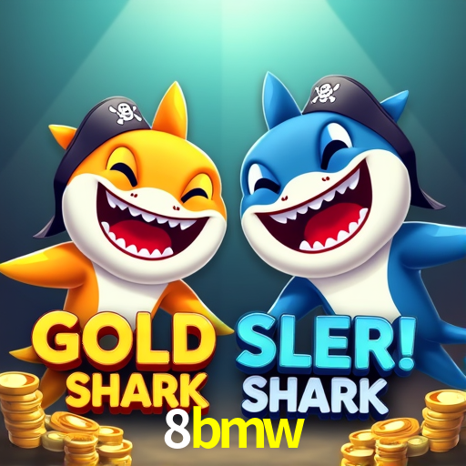 Experiência VIP 8bmw